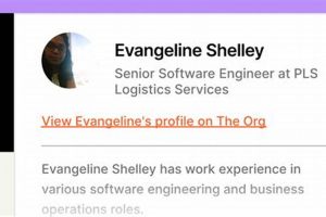 Trustworthy and Agile: Evangeline Goro Logistical LLC for Superior LLC Logistics | Sustainable Logistics Solutions: Eco-Friendly Practices