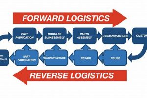 Optimize and Streamline Your Business with Comprehensive Reverse Logistics Services | Sustainable Logistics Solutions: Eco-Friendly Practices