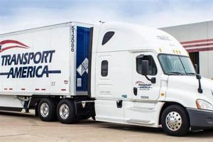 American Transportation Logistics Services: Your Key to Supply Chain Success | Sustainable Logistics Solutions: Eco-Friendly Practices